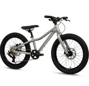 Bērnu kalnu velosipēds Batch Bicycles 20" MTB SILVER — 20" riteņi, viena pārnesuma, pedāļu bremze