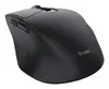 TRUST Niven Беспроводная мышь для правой руки 3200 DPI Photo 4