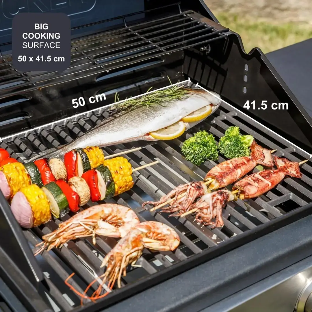 Black & Decker BXOG7200E газовый гриль 2×3,6 кВт Photo 4
