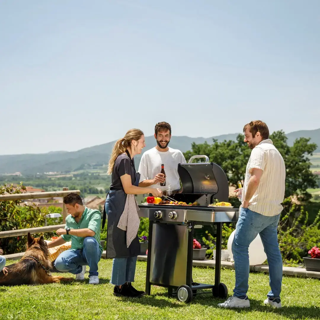 Black & Decker BXOG7200E газовый гриль 2×3,6 кВт Photo 14