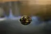 Deeper Smart Sonar Chirp+4 сонар Wi‑Fi Photo 7