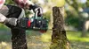 Bosch AdvancedChain 36V-35-40 цепь Photo 3