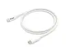 EQUIP USB 3.2 Gen 1 Type-C—Type-C kabelis 0,5 m Photo 2