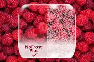 NoFrost Plus - предотвращает образование льда