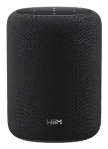 Портативная стереоколонка Usorteret WiiM Sound LITE белая — 2.0 канала, 100 Вт RMS, бас 50 Вт, твитер 50 Вт, беспроводная, сенсорный регулятор, Alexa и Google Assistant