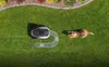 Робот-газонокосилка Roborock RockNeo Q110 Photo 11