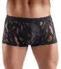 Трусики Svenjoyment M. Pants S Photo 2