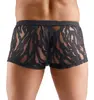 Трусики Svenjoyment M. Pants S Photo 5