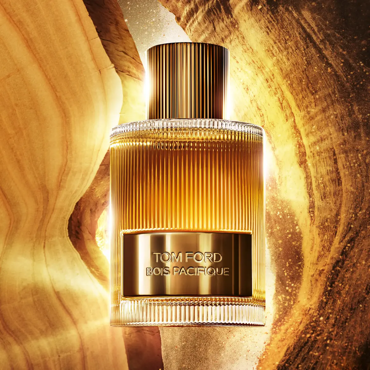 Tom Ford Bois Pacifique EDP 100 ml Photo 2