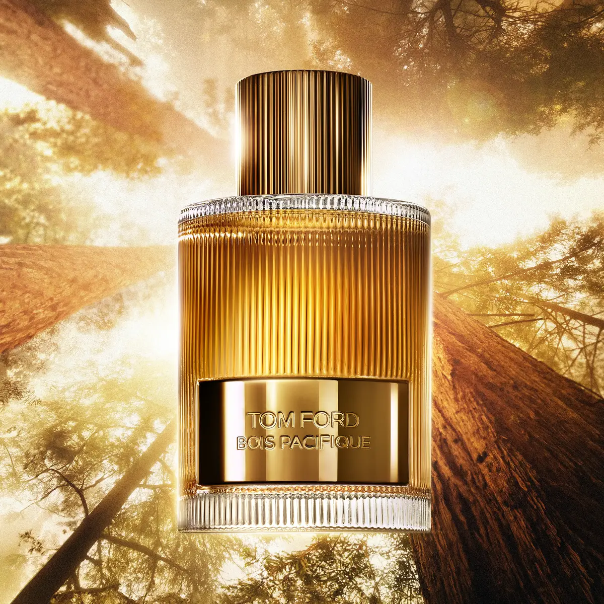 Tom Ford Bois Pacifique EDP 100 ml Photo 3