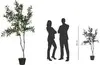 header-product
