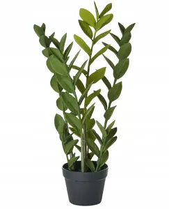 Artificial plant Beliani Zamiifolia 76 cm, green, lifelike foliage, indoor decorative plant