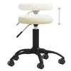 VidaXL 3085726 restaurant/dining chair 3085726 Photo 4