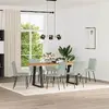 VidaXL 3315427 restaurant/dining chair 3315427 Photo 2