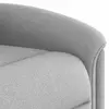 VidaXL 4015625 accent chair 4015625 Photo 8