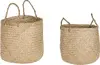 header-product