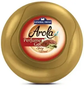 Gela gaisa atsvaidzinātājs General Fresh Dynia Spicy Wood 150 g (Arola)