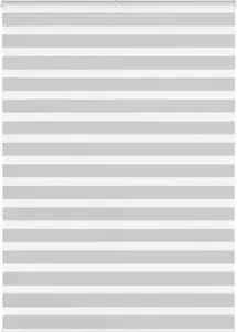 Рулонная штора Zebra VidaXL светло-серый, ширина ткани 155,9 см, полиэстер