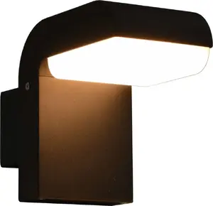 Wall Light VidaXL outdoor LED wall lamp 9 W black oval