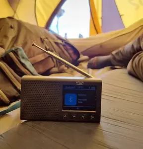 Portable FM travel radio Camry AD1198 — battery-powered receiver with FM tuning