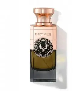 Unisex Parfum Spray Histoires de Parfums ELECTIMUSS Capua 100 ml
