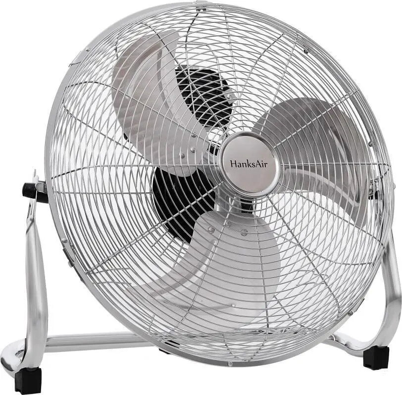 Fans