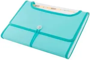 Document folder D.Rect Teczka A4 with 12 dividers — A4 document organizer
