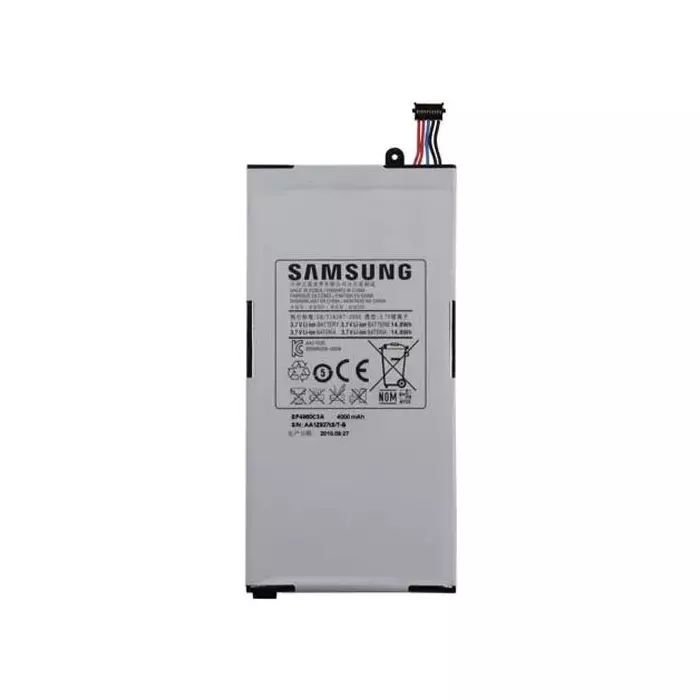 Samsung SP4960C3A Photo 1