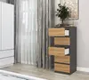 Top e Shop W5 ANT/ART 5-atvilktņu komoda Photo 4