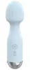 beau coeur Vanyor Mini Wand Massager Photo 3