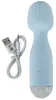 beau coeur Vanyor Mini Wand Massager Photo 9