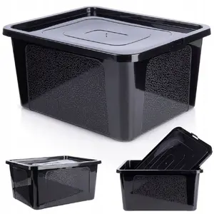 Storage Container with Lid rotho VILDE 20 L, black, plastic
