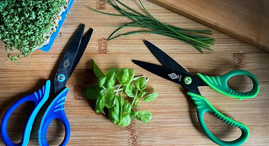 WEDO Wedo 73 2699 straight-cut scissors set Photo 6