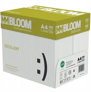 Copy Paper Penword BLOOM Excelent A4 80 g/m² 500 sheets – Office/Print