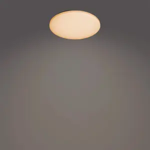 Потолочный светильник Philips Functional Izso 40 Вт LED, 2700 K, белый, круглый