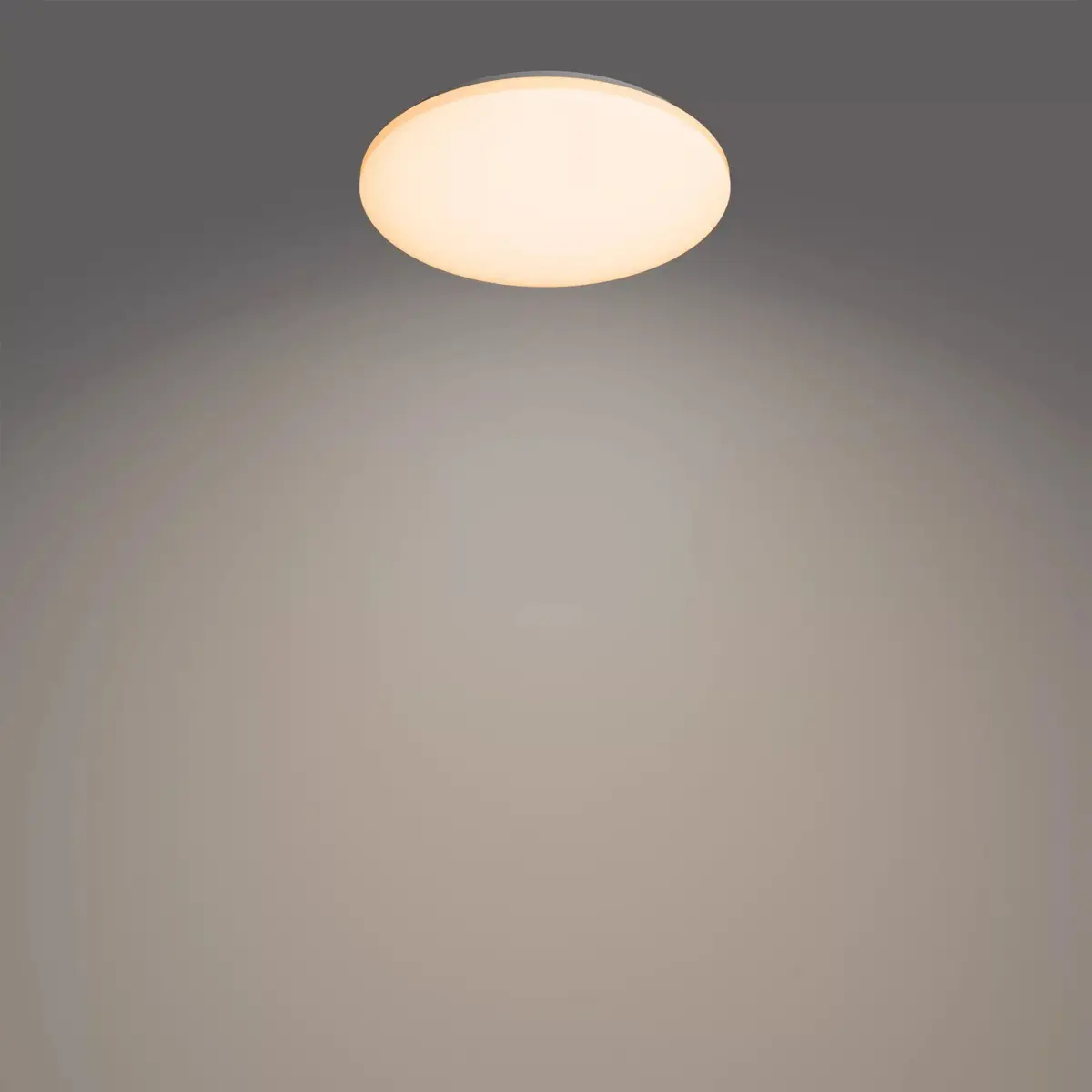 Philips Functional Izso Потолочный светильник 40 Вт Photo 2