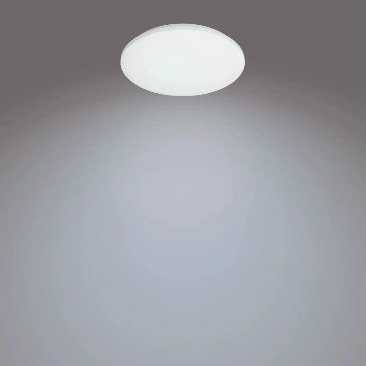 Philips Functional Izso Потолочный светильник 40 Вт Photo 3