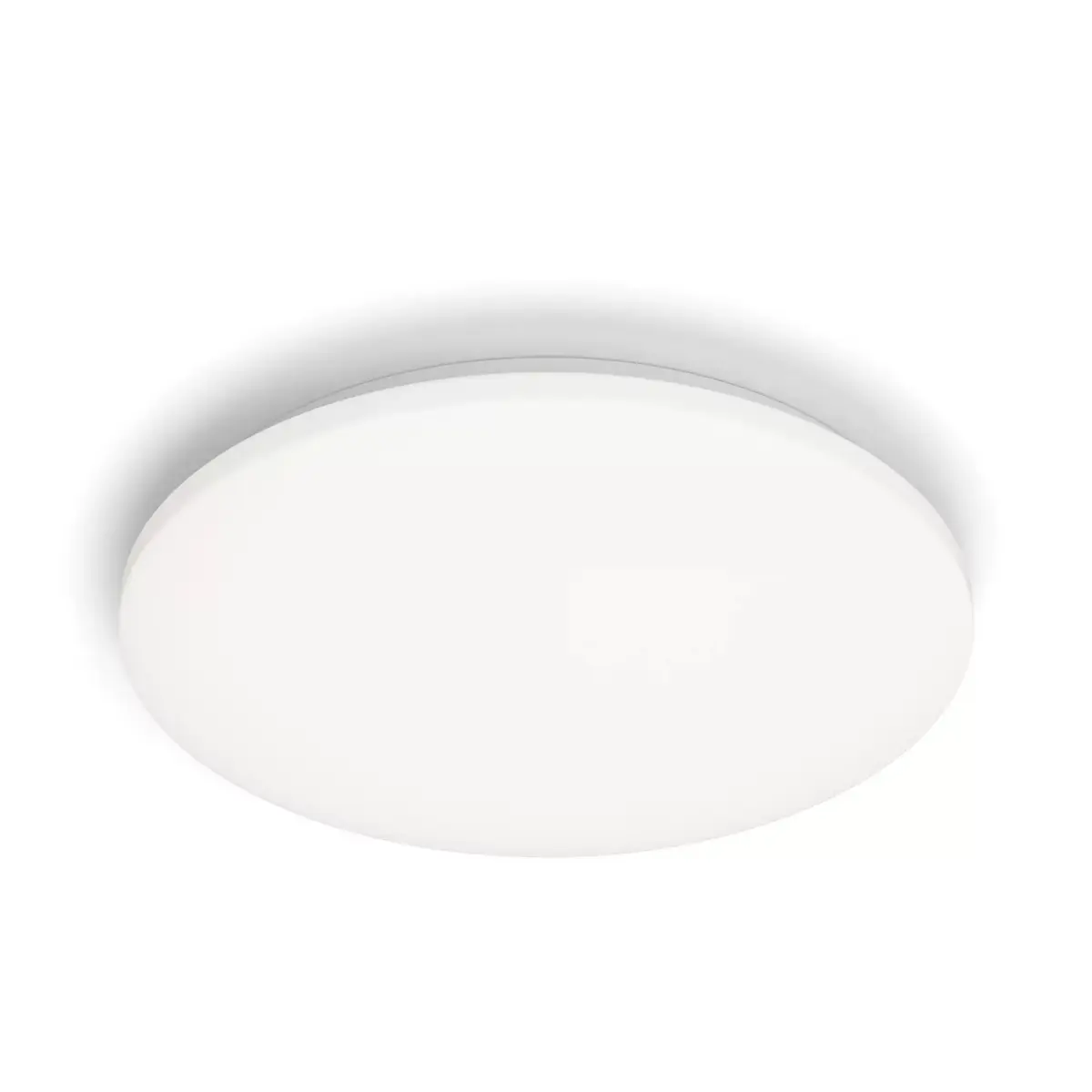 Philips Functional Izso Потолочный светильник 40 Вт Photo 4