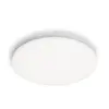 Philips Functional Izso Потолочный светильник 40 Вт Photo 4