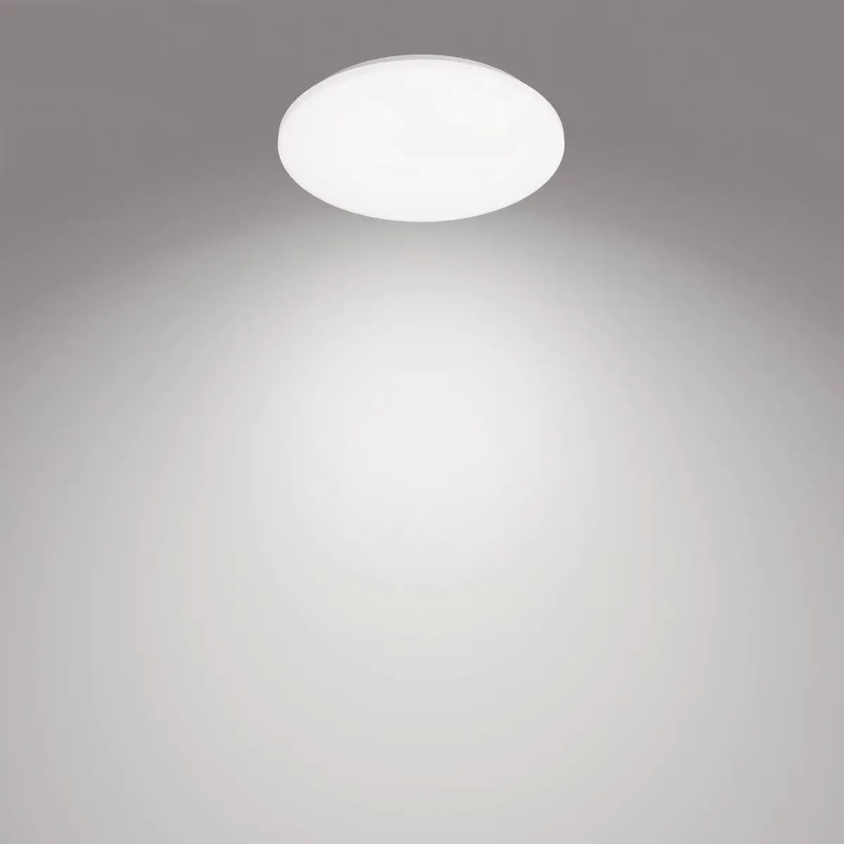 Philips Functional Izso Потолочный светильник 40 Вт Photo 5