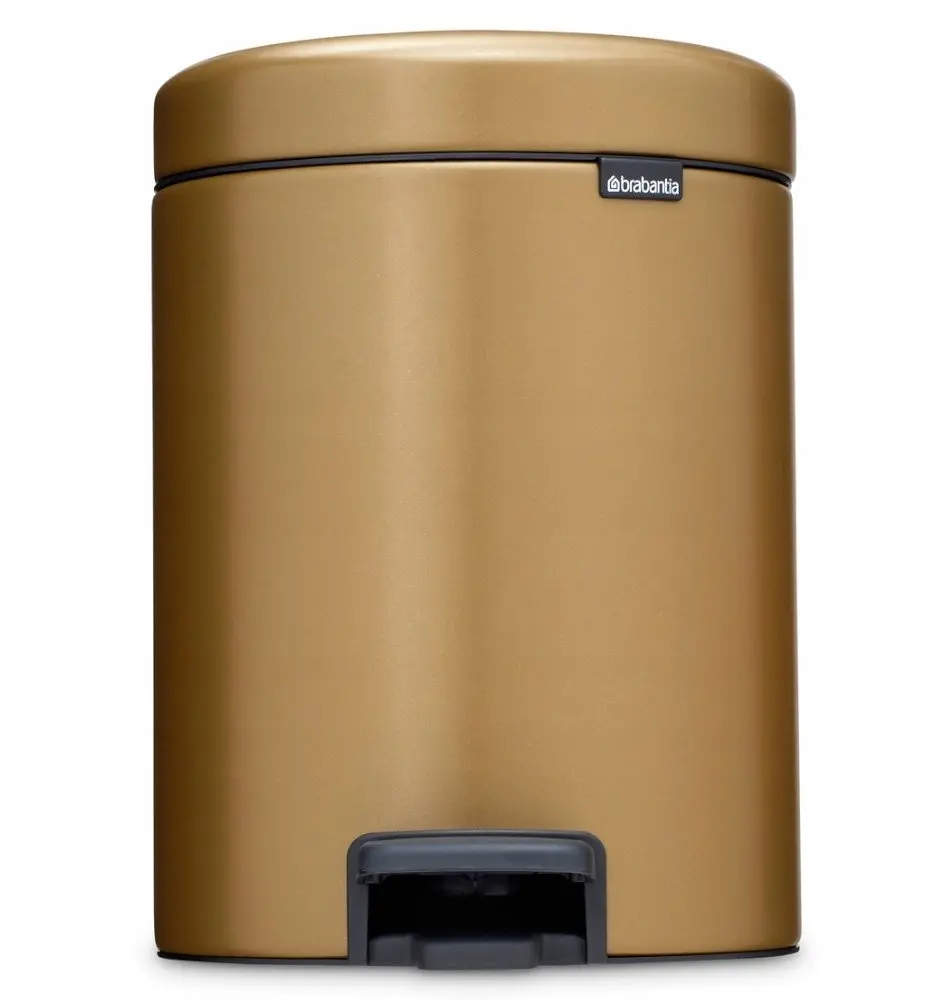 Atkritumu tvertne BRABANTIA NewIcon 5 L