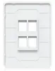 UBIQUITI UACC-WP-KEYSTONE-V-4P накладка 4-портовая Photo 7