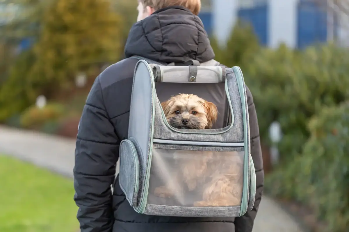 Trixie TRIXIE 28823 Hard Backpack Pet Carrier Photo 6