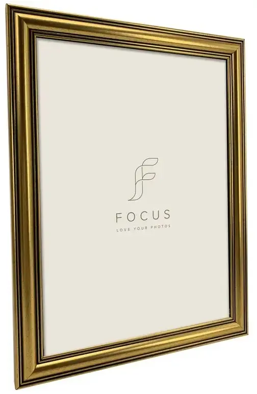 Foto rāmis Focus Holly Gold 13x18