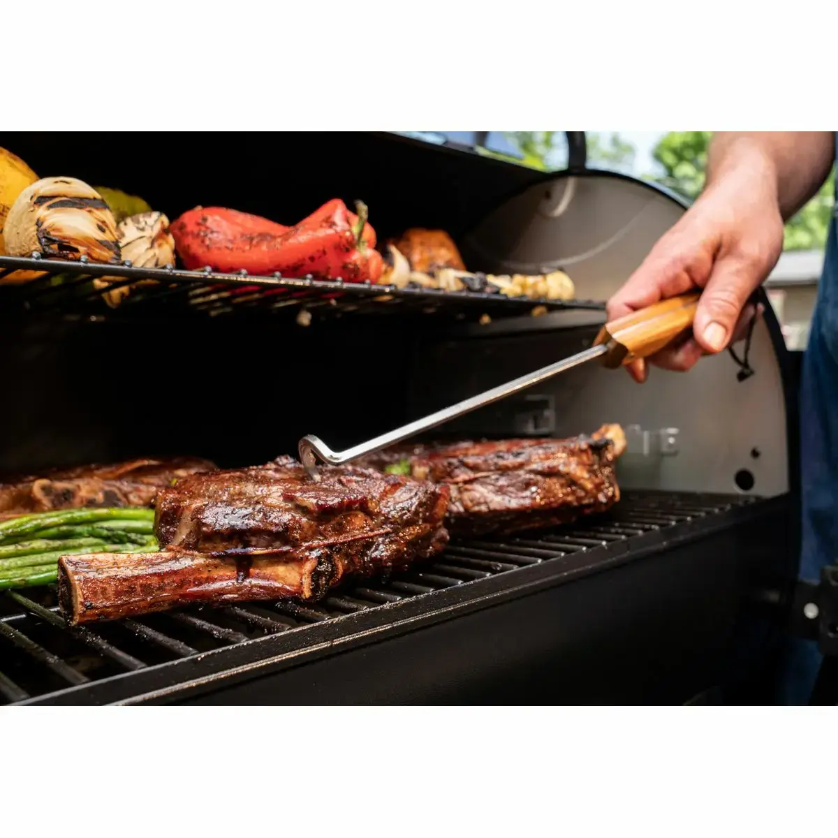 Flipper Traeger BAC533 Photo 5