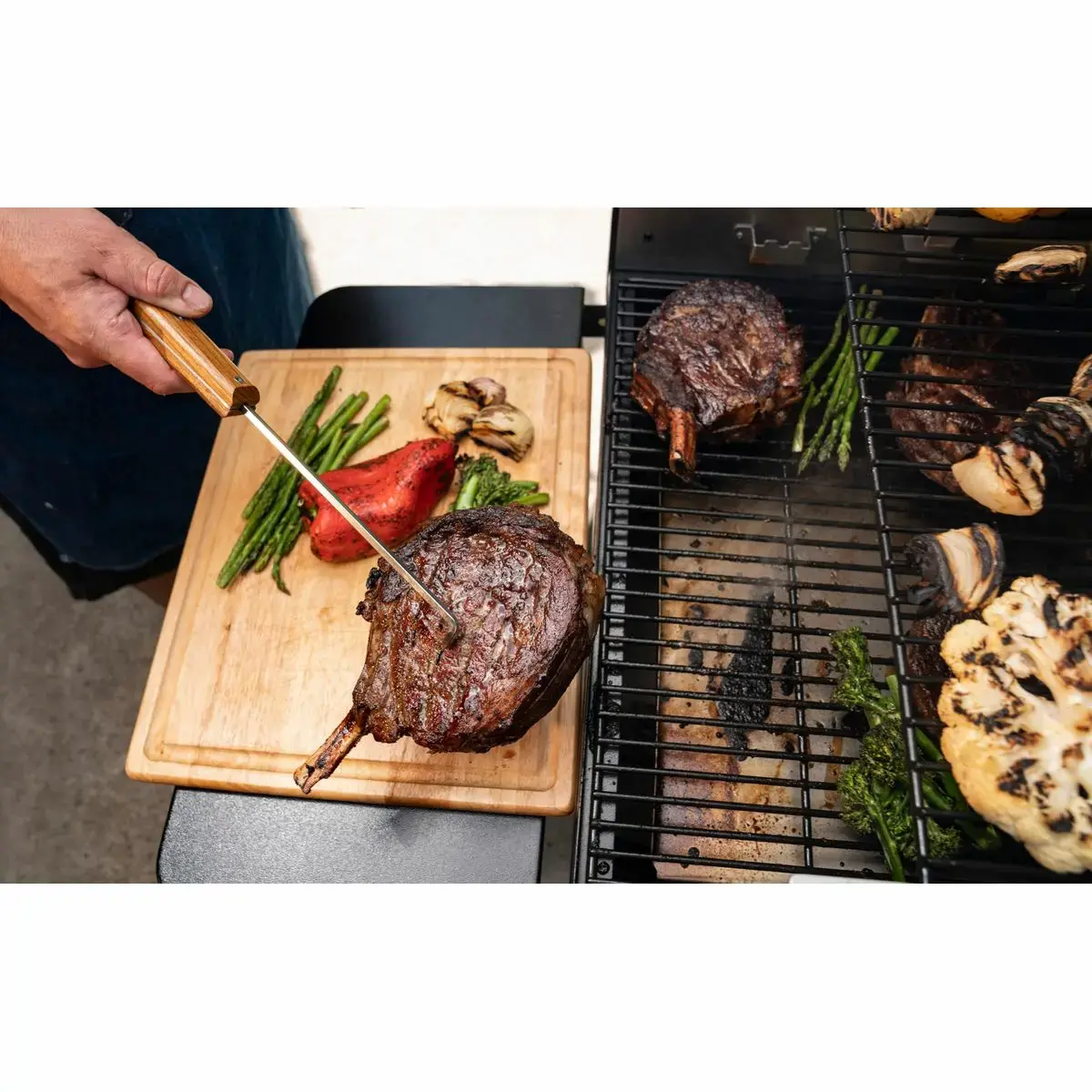 Flipper Traeger BAC533 Photo 6