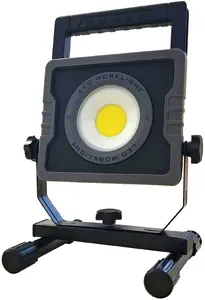 LED floodlight Partnersite LSR30A 30W SMD — outdoor lighting, single-color