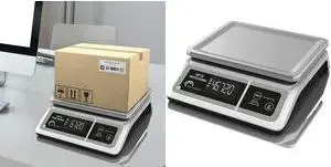 Pastaigu svari Little balance LBP 50 Professional — slodze 50 kg, uzlādējami (LB 8213)
