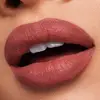 Estée Lauder Pure Color Lipstick 836 Love Bite Photo 2