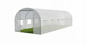 Greenhouse Tunnel AWTools AWTOOLS 3x6x2 m — white garden greenhouse